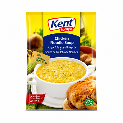 Chicken Noodles Soup 66g