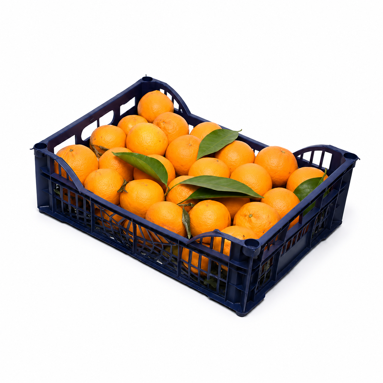 Fresh Mandarine