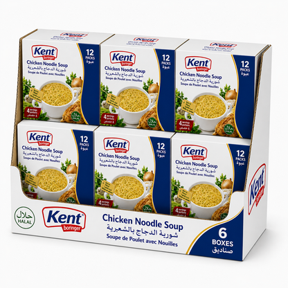 Chicken Noodles Soup 66g